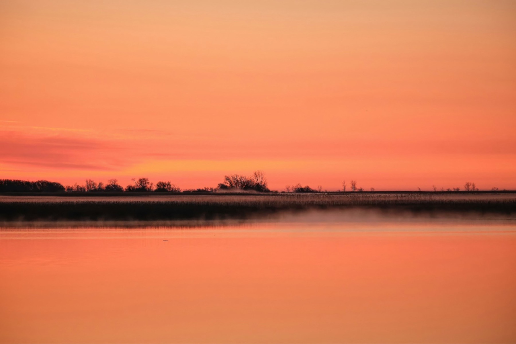 Orange sunrise reflected on calm water, with misty reeds and bare trees along the shore